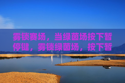 雾锁赛场,当绿茵场按下暂停键,雾锁绿茵场,按下暂停键 雾锁赛场,当绿茵场按下暂停键,雾锁绿茵场,按下暂停键