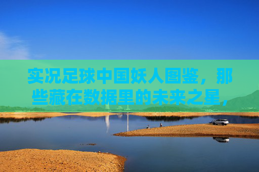 实况足球中国妖人图鉴,那些藏在数据里的未来之星,实况足球中国妖人图鉴,数据里的未来之星 实况足球中国妖人图鉴,那些藏在数据里的未来之星,实况足球中国妖人图鉴,数据里的未来之星