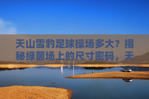 天山雪豹足球操场多大？揭秘绿茵场上的尺寸密码，天山雪豹足球操场尺寸揭秘