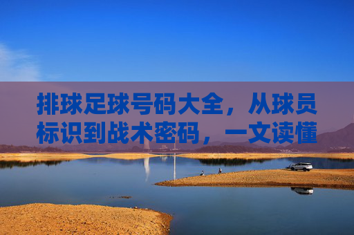 排球足球号码大全,从球员标识到战术密码,一文读懂关键信息,排球足球号码,从球员标识到战术密码的关键信息 排球足球号码大全,从球员标识到战术密码,一文读懂关键信息,排球足球号码,从球员标识到战术密码的关键信息