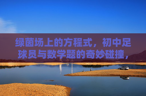 绿茵场上的方程式,初中足球员与数学题的奇妙碰撞,绿茵方程式,初中足球员与数学的奇妙碰撞 绿茵场上的方程式,初中足球员与数学题的奇妙碰撞,绿茵方程式,初中足球员与数学的奇妙碰撞