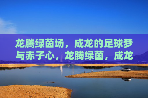 龙腾绿茵场，成龙的足球梦与赤子心，龙腾绿茵，成龙足球梦赤子心