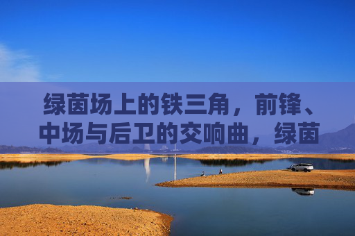 绿茵场上的铁三角，前锋、中场与后卫的交响曲，绿茵场上的铁三角交响曲