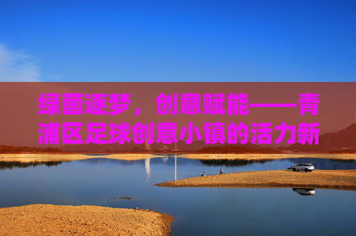 绿茵逐梦，创意赋能——青浦区足球创意小镇的活力新篇，绿茵逐梦，创意赋能，青浦区足球创意小镇活力新篇
