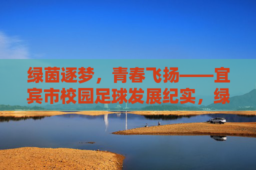 绿茵逐梦，青春飞扬——宜宾市校园足球发展纪实，绿茵逐梦，青春飞扬——宜宾市校园足球发展纪实
