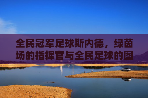 全民冠军足球斯内德,绿茵场的指挥官与全民足球的图腾,绿茵指挥官斯内德,全民足球图腾 全民冠军足球斯内德,绿茵场的指挥官与全民足球的图腾,绿茵指挥官斯内德,全民足球图腾