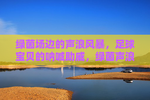 绿茵场边的声浪风暴,足球宝贝的呐喊助威,绿茵声浪风暴,足球宝贝的呐喊 绿茵场边的声浪风暴,足球宝贝的呐喊助威,绿茵声浪风暴,足球宝贝的呐喊