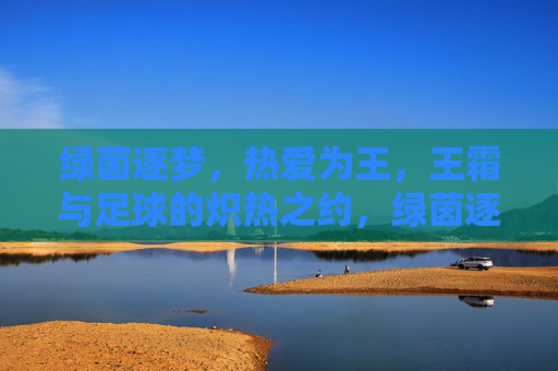 绿茵逐梦，热爱为王，王霜与足球的炽热之约，绿茵逐梦，热爱为王，王霜炽热足球之约