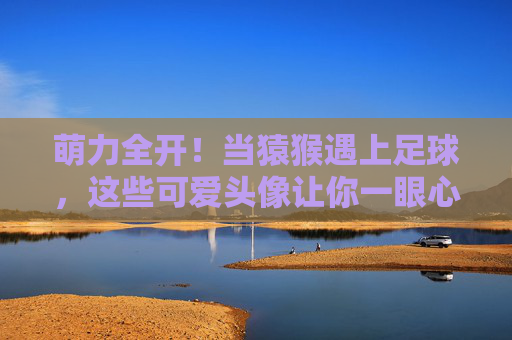 萌力全开!当猿猴遇上足球,这些可爱头像让你一眼心动,萌力全开!猿猴足球心动头像 萌力全开!当猿猴遇上足球,这些可爱头像让你一眼心动,萌力全开!猿猴足球心动头像