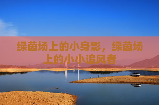 绿茵场上的小身影,绿茵场上的小小追风者 绿茵场上的小身影,绿茵场上的小小追风者