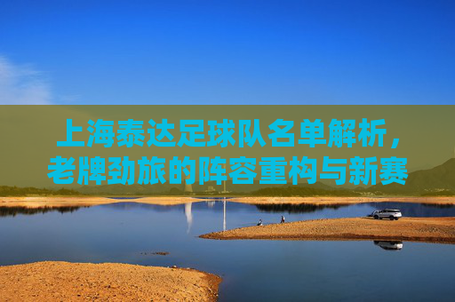 上海泰达足球队名单解析，老牌劲旅的阵容重构与新赛季展望，上海泰达，老牌劲旅阵容重构与新赛季展望