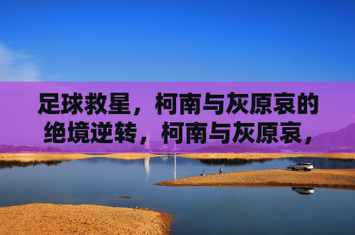 足球救星,柯南与灰原哀的绝境逆转,柯南与灰原哀,足球绝境的逆转救星 足球救星,柯南与灰原哀的绝境逆转,柯南与灰原哀,足球绝境的逆转救星