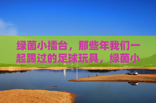 绿茵小擂台，那些年我们一起踢过的足球玩具，绿茵小擂台，我们一起踢过的足球玩具