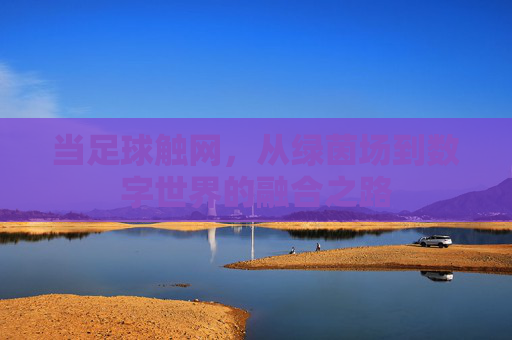 当足球触网,从绿茵场到数字世界的融合之路 当足球触网,从绿茵场到数字世界的融合之路