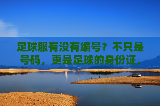 足球服有没有编号?不只是号码,更是足球的身份证,足球服编号,号码背后的足球身份证 足球服有没有编号?不只是号码,更是足球的身份证,足球服编号,号码背后的足球身份证