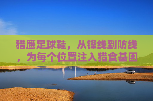 猎鹰足球鞋，从锋线到防线，为每个位置注入猎食基因
