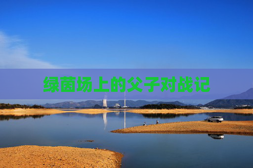 绿茵场上的父子对战记 绿茵场上的父子对战记