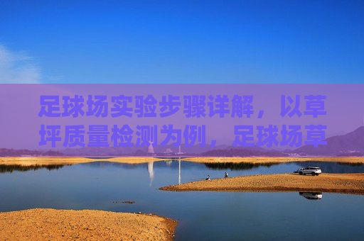足球场实验步骤详解,以草坪质量检测为例,足球场草坪质量检测实验步骤详解 足球场实验步骤详解,以草坪质量检测为例,足球场草坪质量检测实验步骤详解