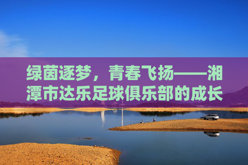 绿茵逐梦，青春飞扬——湘潭市达乐足球俱乐部的成长与担当，湘潭市达乐足球俱乐部，绿茵逐梦的成长与担当