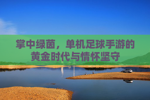掌中绿茵，单机足球手游的黄金时代与情怀坚守