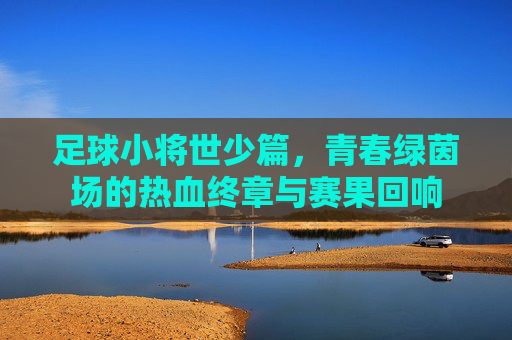 足球小将世少篇，青春绿茵场的热血终章与赛果回响