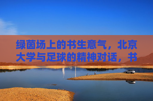 绿茵场上的书生意气,北京大学与足球的精神对话,书生意气绿茵场,北大与足球的精神对话 绿茵场上的书生意气,北京大学与足球的精神对话,书生意气绿茵场,北大与足球的精神对话
