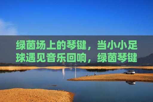 绿茵场上的琴键，当小小足球遇见音乐回响，绿茵琴键，足球奏响的回响