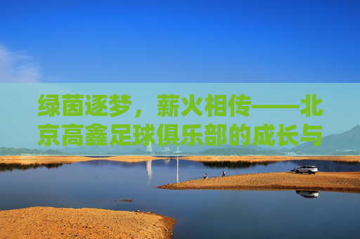 绿茵逐梦，薪火相传——北京高鑫足球俱乐部的成长与坚守，绿茵逐梦薪火传，北京高鑫足球俱乐部的成长与坚守