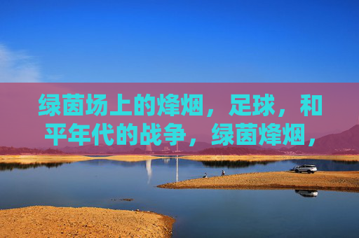 绿茵场上的烽烟,足球,和平年代的战争,绿茵烽烟,和平年代的足球战争 绿茵场上的烽烟,足球,和平年代的战争,绿茵烽烟,和平年代的足球战争