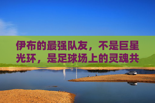 伊布的最强队友，不是巨星光环，是足球场上的灵魂共鸣，伊布最强队友，非巨星光环，是球场灵魂共鸣