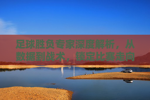 足球胜负专家深度解析，从数据到战术，锁定比赛走向的理性指南，足球胜负专家深度解析，数据战术锁定比赛走向的理性指南