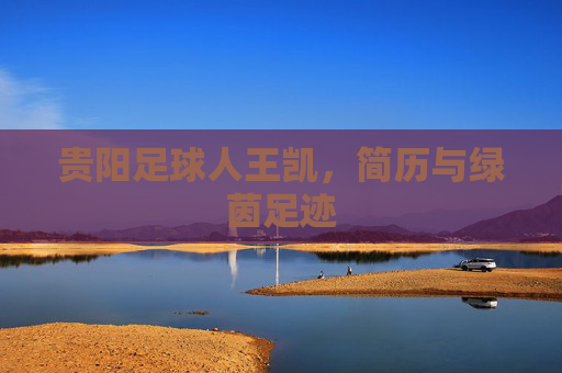 贵阳足球人王凯,简历与绿茵足迹 贵阳足球人王凯,简历与绿茵足迹