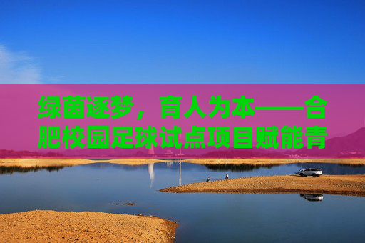 绿茵逐梦，育人为本——合肥校园足球试点项目赋能青少年成长，逐梦绿茵育新人，合肥校园足球试点项目赋能青少年成长
