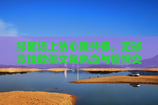 绿茵场上的心跳共振,足球竞技耽美文包热血与情愫交织,绿茵共振,足球竞技耽美心跳 绿茵场上的心跳共振,足球竞技耽美文包热血与情愫交织,绿茵共振,足球竞技耽美心跳