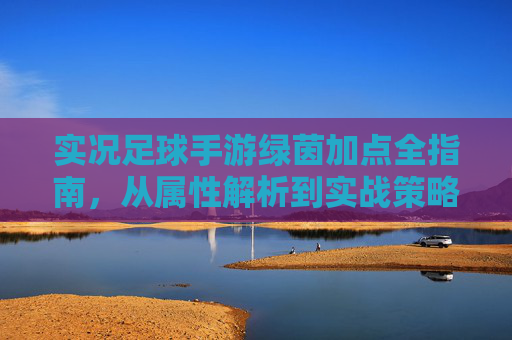 实况足球手游绿茵加点全指南，从属性解析到实战策略，打造你的梦幻阵容，实况足球手游绿茵加点全攻略，属性解析+实战策略，打造梦幻阵容