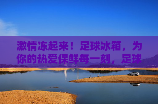 激情冻起来！足球冰箱，为你的热爱保鲜每一刻，足球冰箱，为热爱保鲜，激情永驻