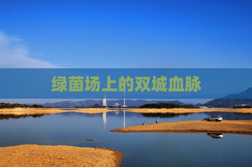 绿茵场上的双城血脉 绿茵场上的双城血脉