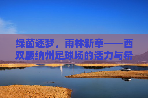 绿茵逐梦，雨林新章——西双版纳州足球场的活力与希望，绿茵逐梦，雨林新章