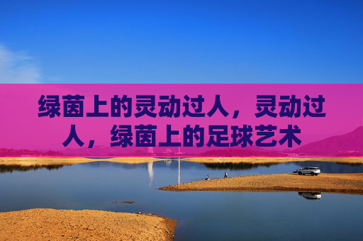 绿茵上的灵动过人，灵动过人，绿茵上的足球艺术