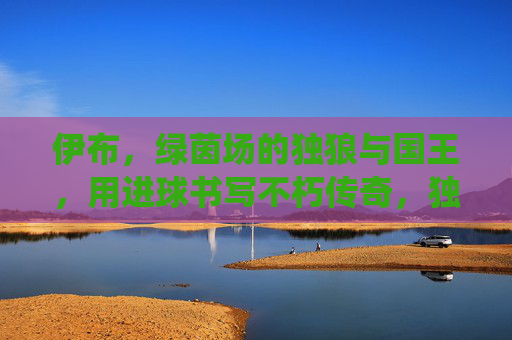 伊布，绿茵场的独狼与国王，用进球书写不朽传奇，独狼亦王，伊布以球书不朽