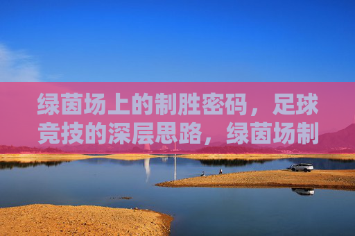 绿茵场上的制胜密码,足球竞技的深层思路,绿茵场制胜密码,足球竞技深层思路 绿茵场上的制胜密码,足球竞技的深层思路,绿茵场制胜密码,足球竞技深层思路