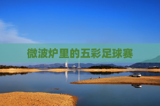 微波炉里的五彩足球赛 微波炉里的五彩足球赛