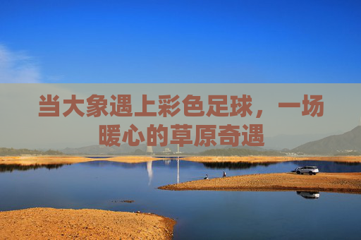 当大象遇上彩色足球,一场暖心的草原奇遇 当大象遇上彩色足球,一场暖心的草原奇遇