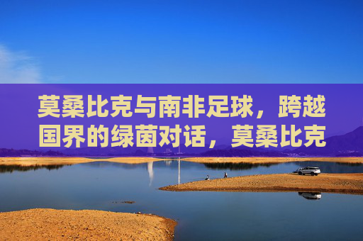 莫桑比克与南非足球,跨越国界的绿茵对话,莫桑比克与南非足球,跨越国界的绿茵对话 莫桑比克与南非足球,跨越国界的绿茵对话,莫桑比克与南非足球,跨越国界的绿茵对话