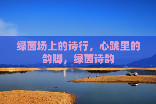 绿茵场上的诗行，心跳里的韵脚，绿茵诗韵