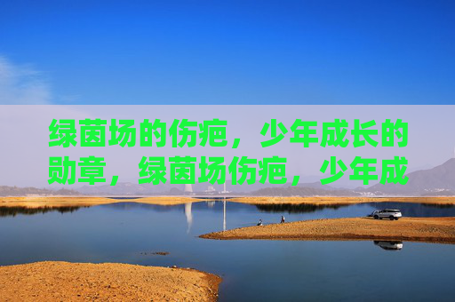 绿茵场的伤疤,少年成长的勋章,绿茵场伤疤,少年成长勋章 绿茵场的伤疤,少年成长的勋章,绿茵场伤疤,少年成长勋章