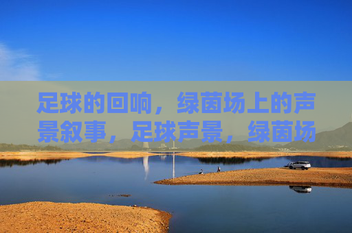 足球的回响，绿茵场上的声景叙事，足球声景，绿茵场的回响叙事