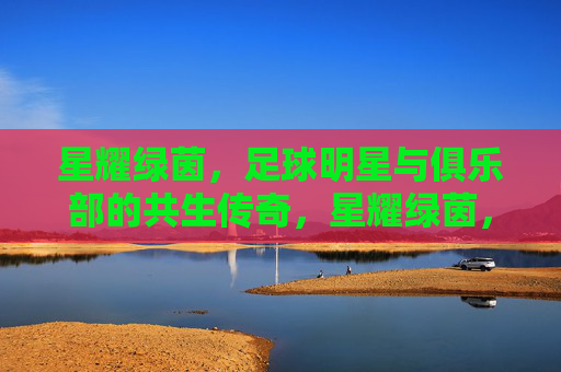 星耀绿茵,足球明星与俱乐部的共生传奇,星耀绿茵,足球明星与俱乐部的共生传奇 星耀绿茵,足球明星与俱乐部的共生传奇,星耀绿茵,足球明星与俱乐部的共生传奇