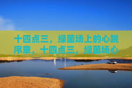 十四点三,绿茵场上的心跳序章,十四点三,绿茵场心跳序章 十四点三,绿茵场上的心跳序章,十四点三,绿茵场心跳序章