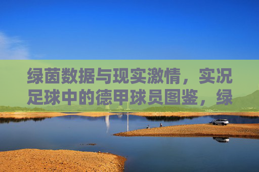 绿茵数据与现实激情,实况足球中的德甲球员图鉴,绿茵数据与现实激情,实况足球德甲球员图鉴 绿茵数据与现实激情,实况足球中的德甲球员图鉴,绿茵数据与现实激情,实况足球德甲球员图鉴